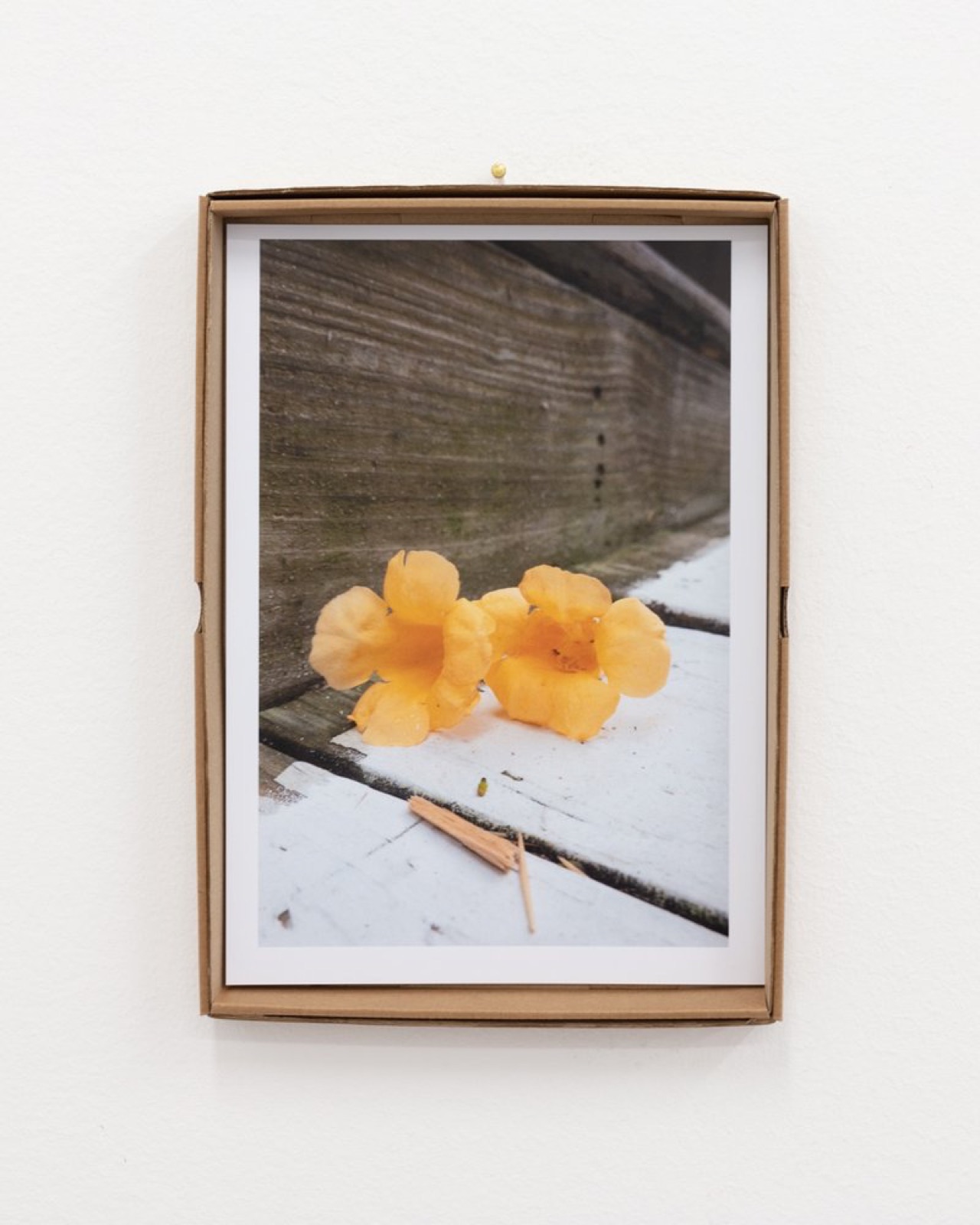 Edition für Bonner Kunstverein von Wolfgang Tillmans