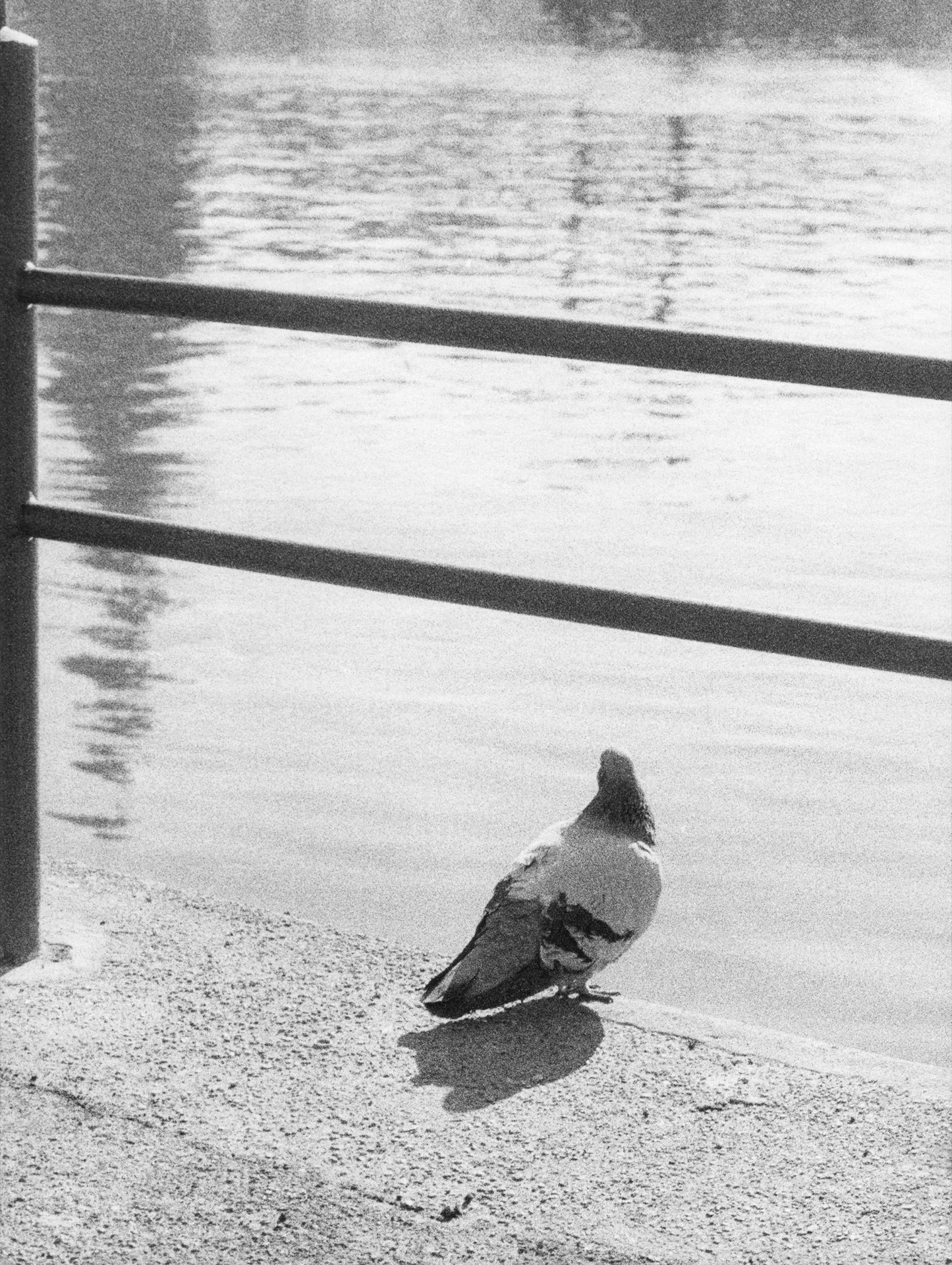A Sense of Beauty von Jochen Lempert