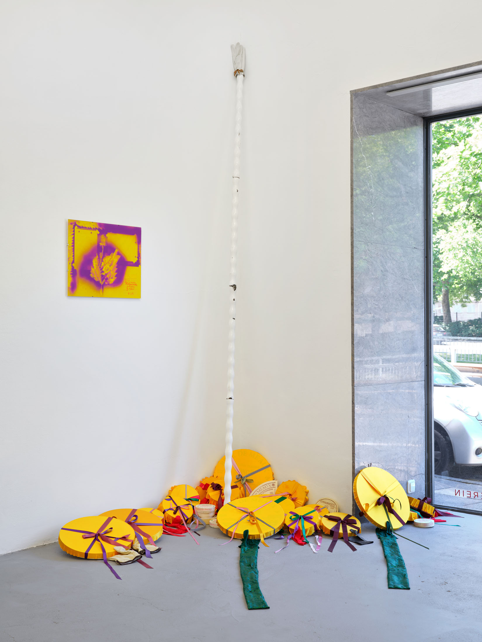 That's hell of a cut von COBRA: COBio Fontana